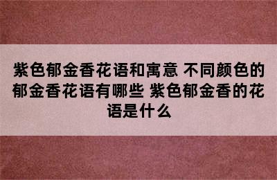 紫色郁金香花语和寓意 不同颜色的郁金香花语有哪些 紫色郁金香的花语是什么